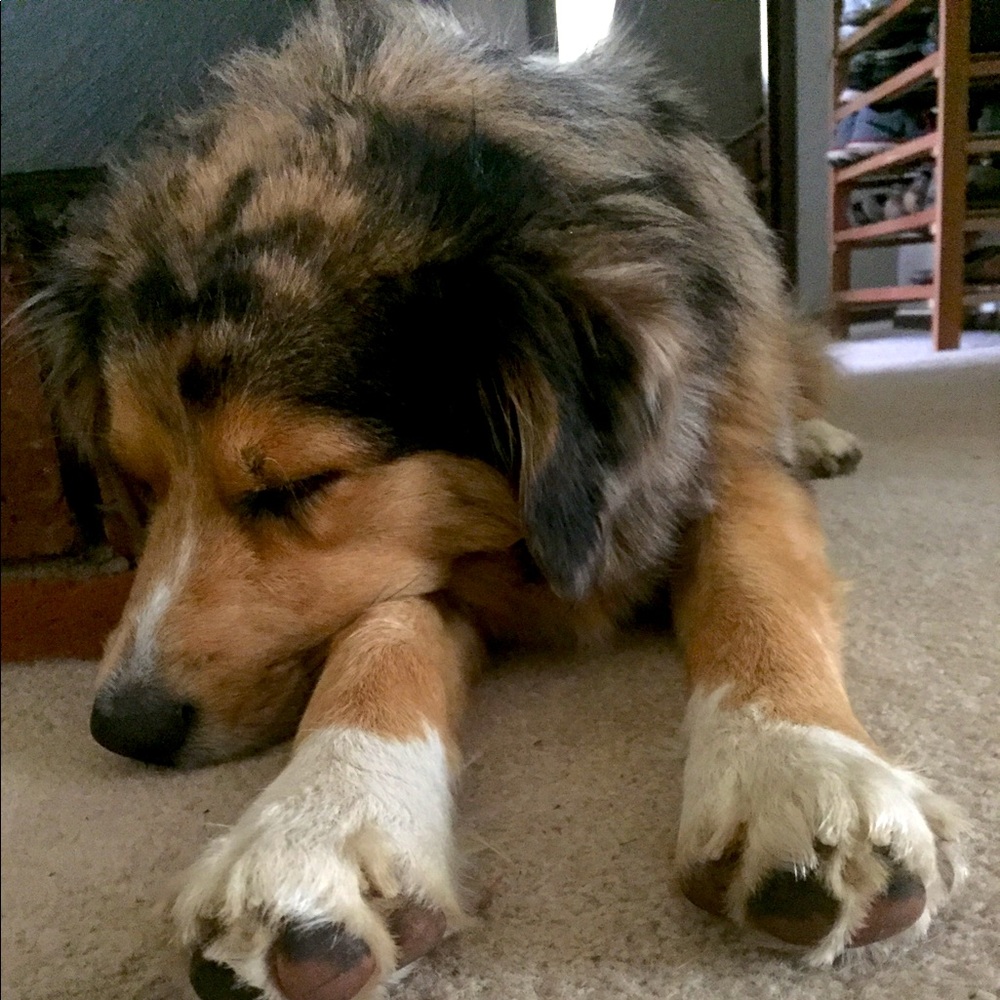 Meet your Posher, Tonie